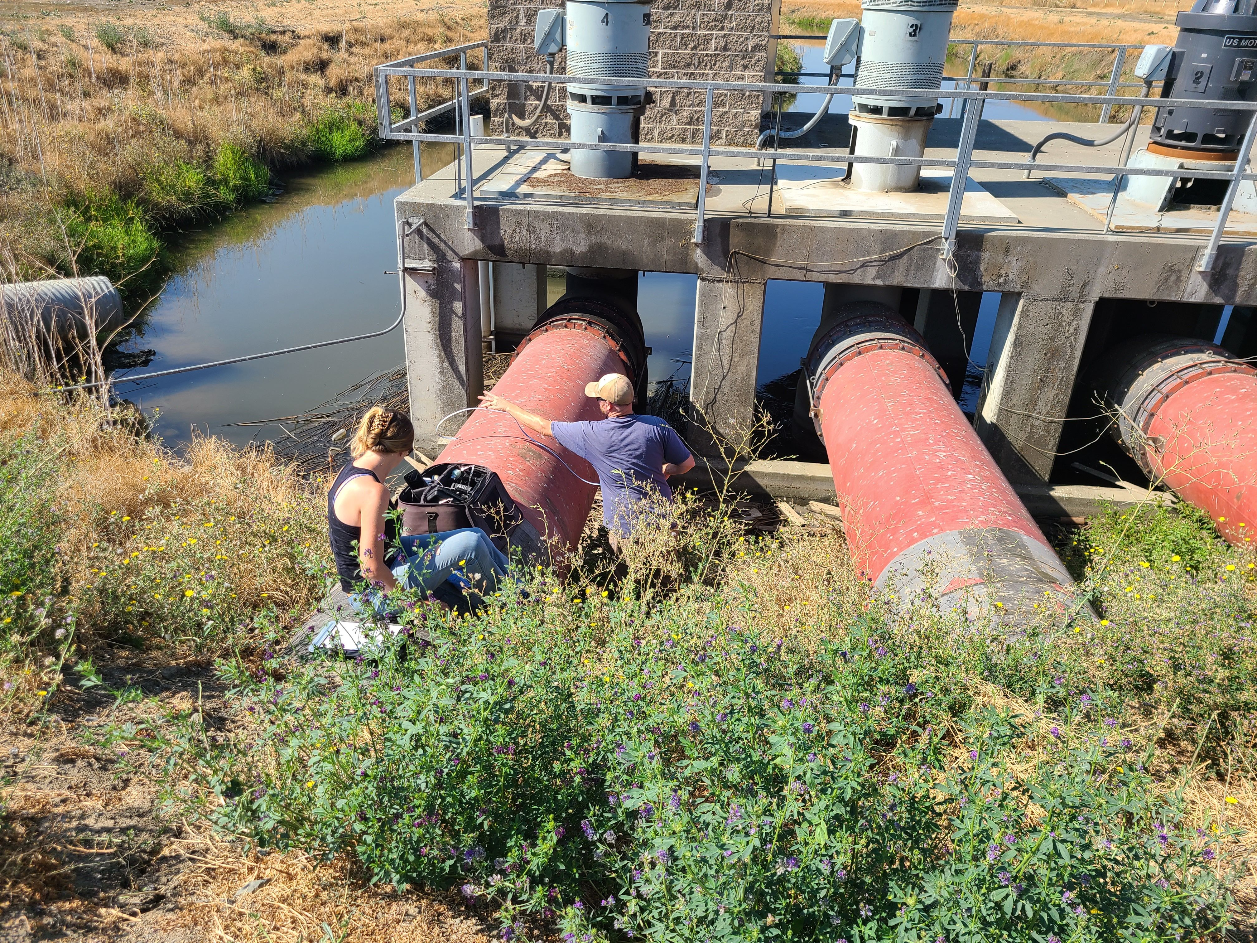 Conducting pump efficiency testing to ensure irrigation systems are operating at peak performance and minimizing energy and water waste.