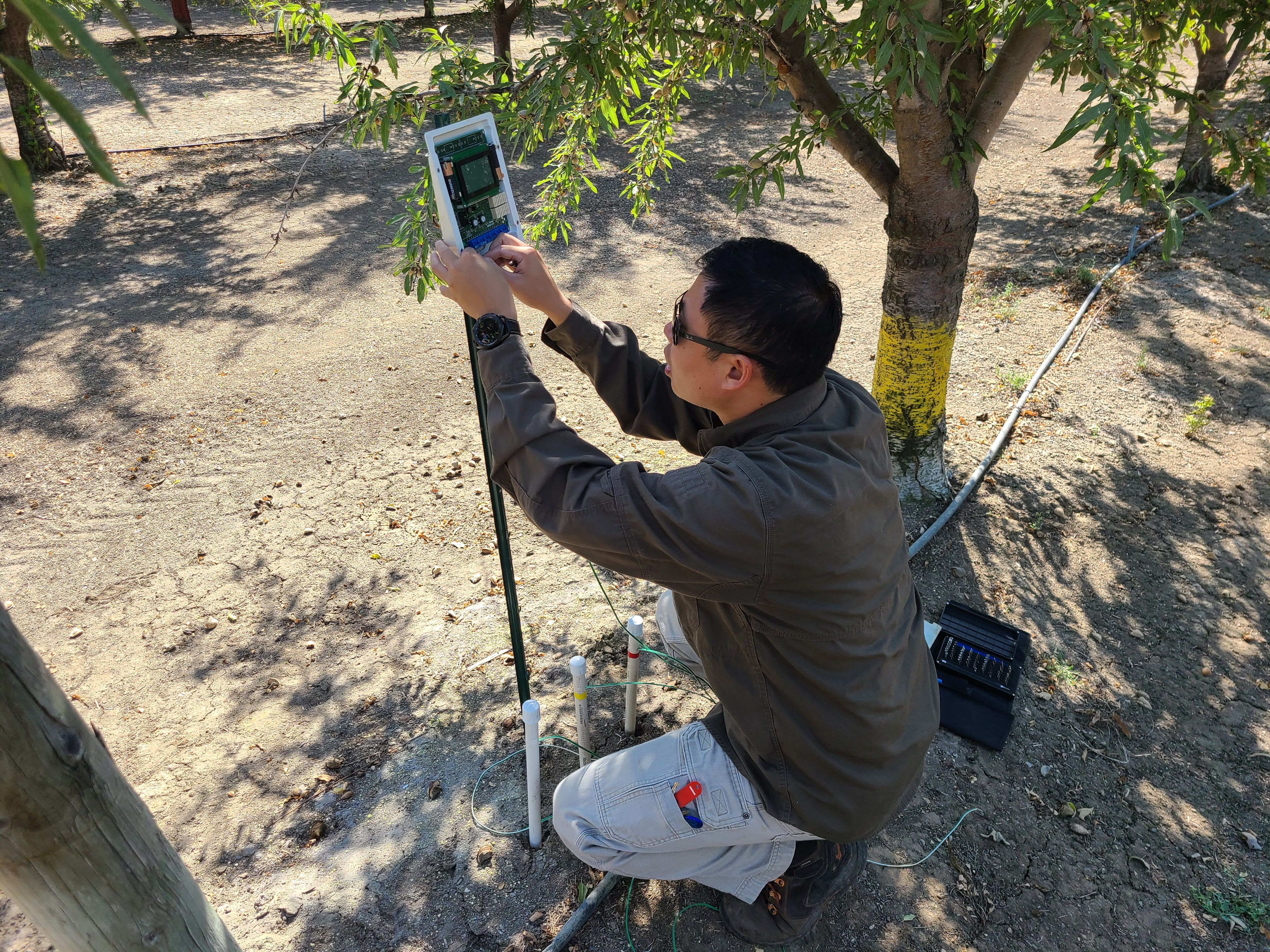 Installing soil moisture sensors to track real-time soil conditions and optimize irrigation efficiency across the farm.